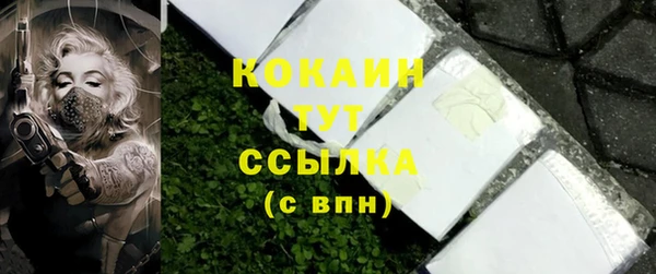 молекула духа Почеп