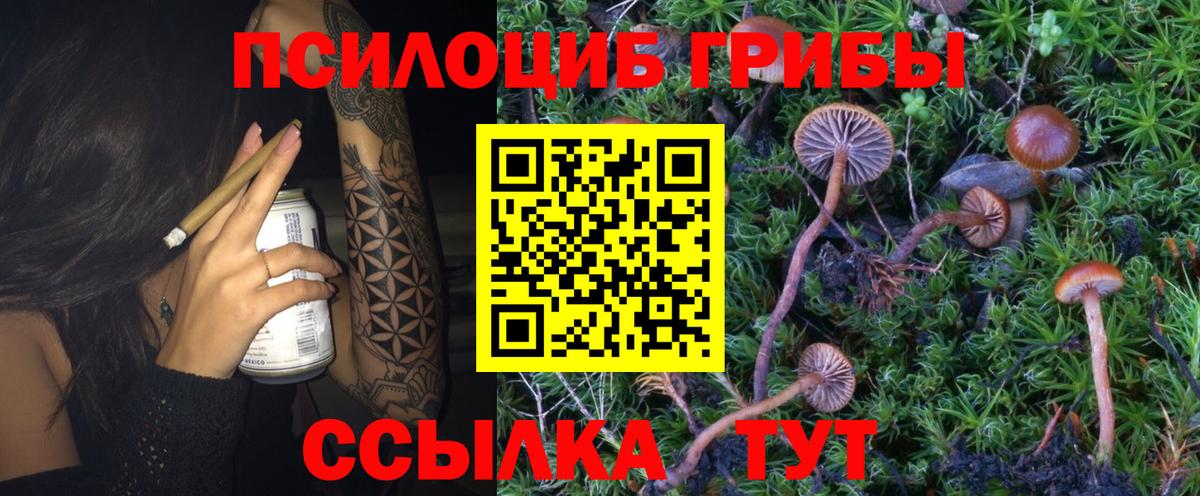 КОКАИН  Котлас  Конопля  Мефедрон кристаллы  Альфа ПВП СК кристаллы  ГАШ  Вход с VPN  НБОМе 